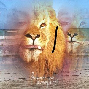 Meet your Posher, Sonya